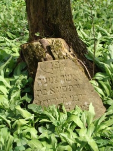 Macewa na cmentarzu żydowskim w Dukli