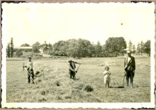 Grabienie siana w Osmolicach