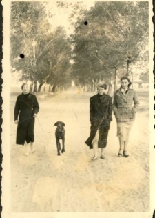 Droga Osmolice-Żabia Wola