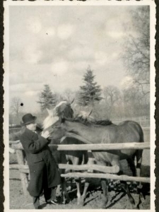 Konie w majątku Osmolice