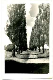 Droga z Osmolic do Żabiej Woli