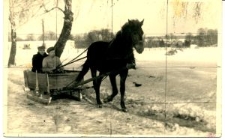 Pow&oacute;z konny w zimie