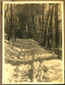 Droga prowadząca do Świątyni Sybilli