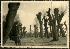 Trasa Kazimierz-Puławy