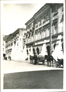 Powozy konne w centrum Zamościa