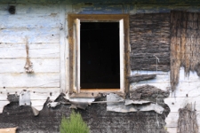 Pozostałości warstwy ocieplenia ściany domu drewnianego w Wojsławicach Kolonii 24
