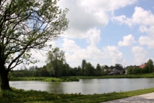 Staw przy ul. Uchańskiej w Wojsławicach