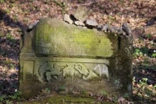 Macewa na cmentarzu żydowskim w Kazimierzu Dolnym