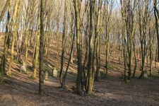 Cmentarz żydowski w Kazimierzu Dolnym