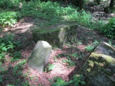 Gravestones at the Jewish cemetery in Knyszyn