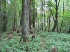 Jewish cemetery in Knyszyn