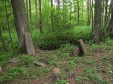 Cmentarz żydowski w Knyszynie