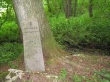 Macewa na cmentarzu żydowskim w Knyszynie