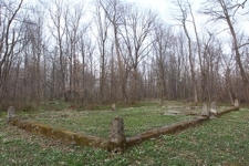 Masowy grób w lesie w Taniawie za Bolechowem