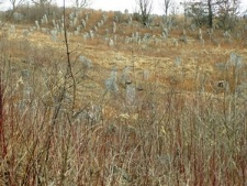 Kremenets, old Jewish Cemetery