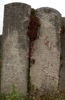 Matzevot at the Jewish cemetery in Brody