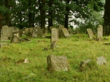 Jewish cemetery in Bolekhiv