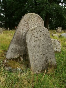 Macewy na cmentarzu żydowskim w Bolechowie