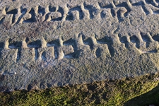 Fragment macewy na cmentarzu żydowskim w Lubartowie