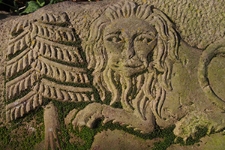 Fragment macewy na cmentarzu żydowskim w Lubartowie