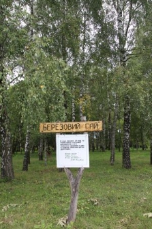 Dendrological Park in Berezne