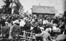 Sprzedaż bydła podczas czwartkowego targu w Knyszynie