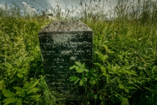 Macewa na cmentarzu żydowskim w Wołożynie