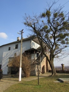 Muzeum krajoznawcze w Ostrogu znajdujące się w wieży murowanej Zamku Książąt Ostrogskich