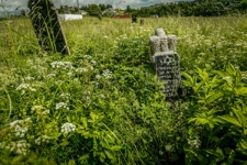 Macewa na cmentarzu żydowskim w Wołożynie