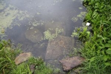 Macewy w rzece Korczyk w Korcu