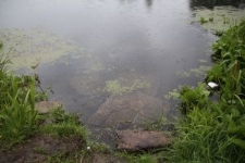 Macewy w rzece Korczyk w Korcu