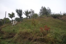 Teren cmentarza żydowskiego w Korcu