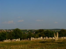 Jewish cemetery in Pidhaitsi