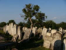 Jewish cemetery in Pidhaitsi