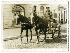 Furman Jan Jarmuż na koźle bryczki z majątku Surhów w Krasnymstawie