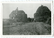 Stawianie stert w folwarku na August&oacute;wce koło Surhowa