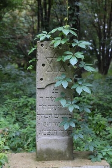 Macewa na cmentarzu żydowskim w Ostrogu