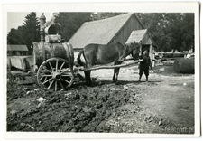 Transport wody na terenie majątku Surh&oacute;w