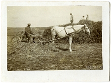 Prace rolne w Surhowie nadzorowane przez rządcę Piotrowskiego