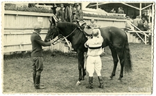 Ogier Monolit z majątku Surh&oacute;w na terenie wyścig&oacute;w konnych w Lublinie