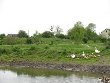 Busk, cmentarz żydowski