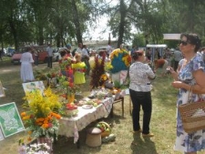 Festiwal Kwiatów w miasteczku Żołudek