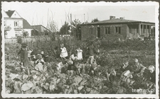 Dzieci z ochronki nr 3 w Lublinie podczas prac w ogrodzie