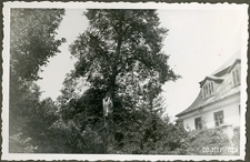 Dw&oacute;r w Moniakch od strony południowej widoczny ze złamaną podczas wichury lipą