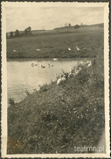 Moniaki - widok na sadzawkę przy czworakach