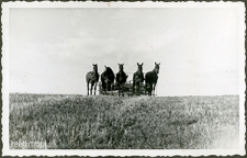Praca na polu w majątku ziemskim Moniaki