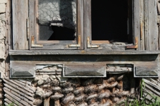 Konstrukcja ściany domu drewnianego przy ulicy Średniej 35 w Tyszowcach