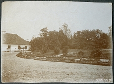 Majątek Łubki koło Wojciechowa - zieleń parkowa