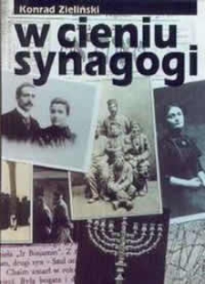W cieniu synagogi : obraz życia kulturalnego społeczności żydowskiej Lublina w latach okupacji austro-węgierskiej