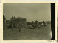 Żniwa w Moniakach - tworzenie sterty